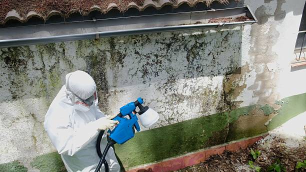 Trusted Attic Mold Removal service in Berlin, PA - Cheap Mold Removal